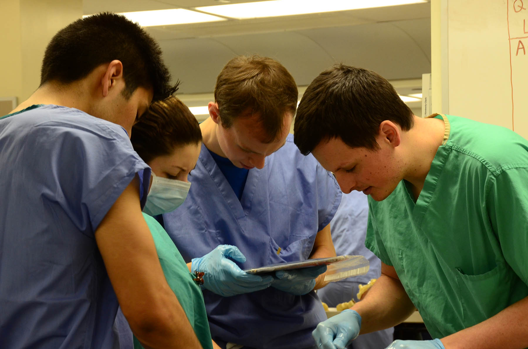 Weill Cornell's iPad Revolution Reaches Gross Anatomy Lab Newsroom