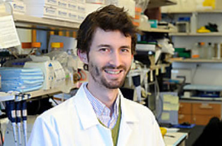 cornell weill prestigious fellowships earn perform medical research students roy david