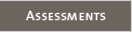 Assessment