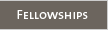 Fellowships