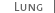 Lung