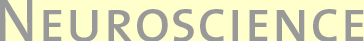 NewYork-Presbyterian Hospital Neuroscience