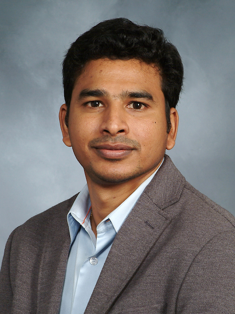 Ramana Palley