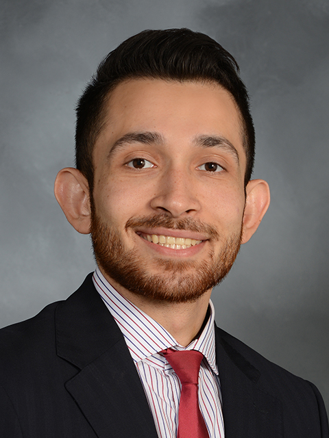 Sajjad Abedian
